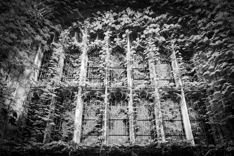 Up close view of stained glass windows covered in vines and leaves. 