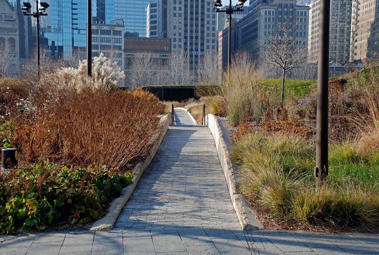 Brick path through garden of native plants with skyscrapers in the background